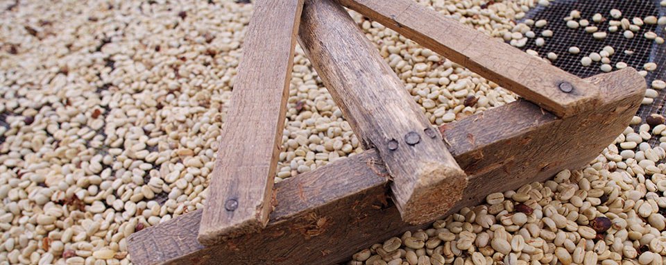 south sudan coffee